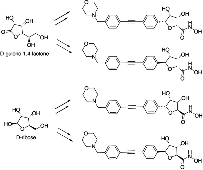 Bacterial deacetylase LpxC inhibitors synthesized from the chiral pool of D‐gulono‐1,4‐lactone and D‐ribose.