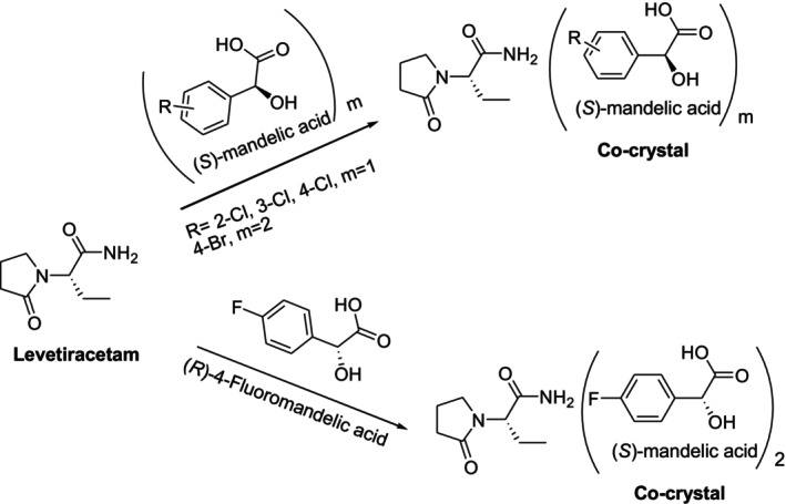 Co‐crystal behavior of levetiracetam and halogenated mandelic acid enantiomers enantioselectively.
