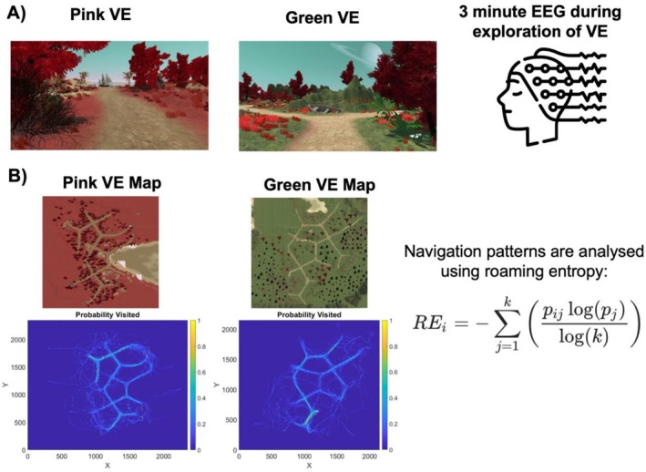 (A) Top‐view of the pink (left) and green (right) virtual environment (VE). Participants freely explored the virtual environment whilst we collected EEG data. (B) Maps for the pink and green VE depict the probability that each location was visited across participants. These maps were used in the roaming entropy calculations. Note, the maps are scaled for graphical purposes.