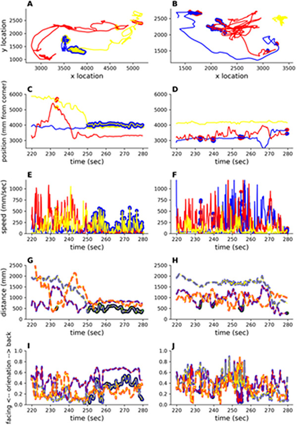 Exemplar plot for two groups of three children wearing different colored hats (red, blue, yellow) in an F group (left column) and an NF group (right column) during a 60‐s segment of the 10‐min free play observation. (A, B) Movement traces as tracked by a computer vision algorithm. (C, D) Position of the children relative to the top‐left corner. (E, F) Speed of the children. (G, H) Distance between pairs of children, represented by color‐coded lines corresponding to the hat colors (e.g., red‐yellow dashed line is the distance between children marked as yellow and red in Panel A or B). (I, J) Social orientation between pairs of children, where 0 indicates children are facing each other, and 1 indicates they are directly facing away from each other. In Panels A–F, manually coded social interactions are marked on each children's trajectory using the color corresponding to their interaction partner (e.g., in Panel C at approximately 235 s, the yellow child interacted with the red child, and vice versa). In Panels G–J, social interactions are marked in black. The same interaction noted above between the red and the yellow child at 235 s is represented by the black mark on the red‐yellow dashed line.