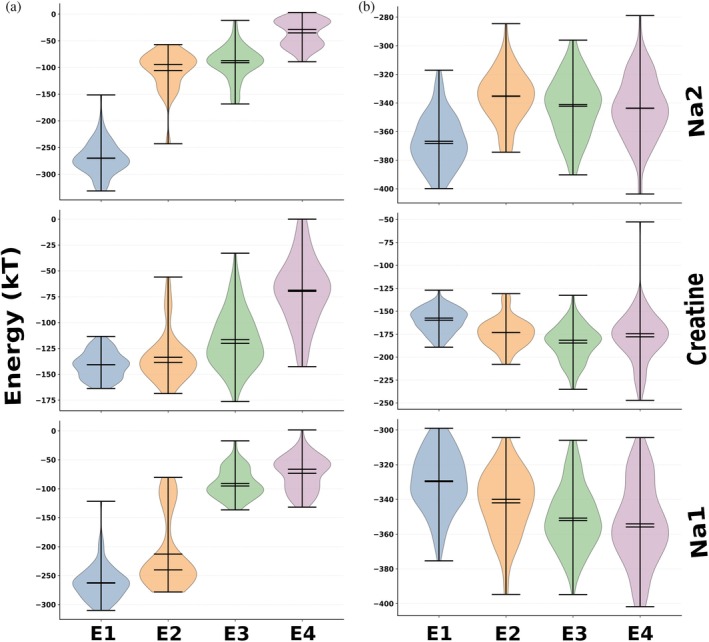 Ensemble‐resolved electrostatic interaction energies for Na2, creatine, and Na1 protein‐lipid environment, with bulk (implicit) water (a), and in the protein‐lipid‐explicit water molecules (b). Violin plots show the distributions of DelPhi‐calculated electrostatic interaction energies (kT) for Na2 (top), creatine (middle), and Na1 (bottom) across four ensembles: tightly bound (E1), bound intermediate (E2), hydrating (E3), and released (E4). Each violin represents the pooled energy distribution across all four replicas for the corresponding ensemble. Ensemble definitions based on hydration and anchor engagement are provided in TableS3of DataS1.