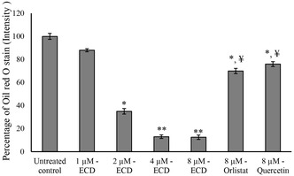 Assessment of lipid accumulation by Oil red ‘O stain. Quantification of Oil red ‘O stain accumulation in preadipocytes following the ECD, Orlistat, or Quercetin treatment for 14 days. Data were expressed as means ± SD. * and ** Statistically significant by comparison with untreated control atp≤ 0.05 andp≤ 0.001, respectively.¥Statistically significant by comparison with 8 µM ECD‐treated cells (p≤ 0.001).