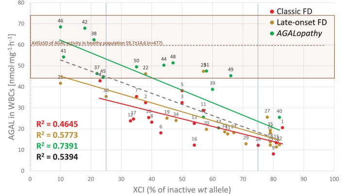 Correlation of AGAL activity in WBCs and XCI. AGAL activity decreases with inactivation of thewt GLAallele. The decrease is independent of the clinical phenotype (black dashed line represents regression for the entire cohort). Similar correlation patterns with higherR2values (FigureS4) were detected when individually analyzing values in females carrying late‐onset p.(N215S) and c.801 + 48T>G and AGALopathicGLAvariants p.(L394P), p.(A143T) and p.(D313Y). Vertical blue lines highlight 25% and 75% of the inactivewt GLAallele. XCI was also analyzed in urinary cells [43] of 46 females from our cohort. Correlation of the urinary XCI with AGAL activity in WBCs was substantially weaker with correlation coefficientR2= 0.1688 (individual data points are not shown).