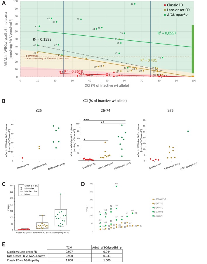 Tri‐parametric correlation—AGAL activity in WBCs/lysoGb3 in plasma ratio compared to XCI. (A) Separation of the three phenotypes was observed over the whole range of XCI deciles. Reference ranges for AGAL activity in WBCs/lysoGb3 in plasma ratio in male FD patients are shown in the boxes on the right. Control levels (brown dashed line) of the ratio correspond to previously published data [17]. Vertical blue lines highlight 25% and 75% of inactivewt GLAallele. Values in patients #21–#23 were identified as outliers. (B) Individual ratio values from A were plotted for ≤ 25%, 26%–74%, ≥ 75% ranges of the inactivatedwt GLAallele. Note the differing scaling of the ratio values shown on the y axis in the three plots. Pair‐wise comparisons were not performed for ≤ 25% and ≥ 75% ranges because of the insufficient number of patients in these groups. *—unpaired two‐tailed Studentt‐testp< 0.05; **—unpaired two‐tailed Studentt‐testp< 0.01; ***—unpaired two‐tailed Studentt‐testp< 0.001. As a note, the presented findings were supported by lowest total categorization error calculated for samples using linear discriminant analysis (data not shown). For comparison, high Gb3 degradative capacity, high residual AGAL activity, low plasma lysoGb3 and their relatively high ratio in males carrying p.(L394P)GLAvariant in comparison to values in classic FD patients have been previously reported in Kuchar et al. [17] and Zivna et al. [9]. (C) Comparison of TCM (AGAL in WBCs/lysoGb3 in plasma/fractionalwt GLAallele expression in WBCs) values for the three phenotypic groups. (D) Detailed comparison of distribution of TCM values in patients with late‐onset and AGALopathic GLA variants. Individual variants are color/symbol coded. There is just one overlapping TCM value (female #13, refer to panel A) between the classic and late‐onset groups. Note that there was no overlap between TCM values identified in patients with late‐onset FDGLAvariants and individuals with p.(A143T) and p.(D313Y)GLAvariants. (E) Specificity and selectivity of the AGAL activity in WBCs/lysoGb3 in plasma ratio values and TCM values to differentiate the phenotypic groups was comparable when assessed by calculating areas under ROC curves. Interestingly, separation of late‐onset and AGALopathy groups was improved (area under curve 0.982) by excluding all 7 patients carrying the c.801 + 48T>G intronicGLAvariant due to an outlier status of AGAL activity in WBCs/lysoGb3 in plasma ratio values in patients #21–#23.
