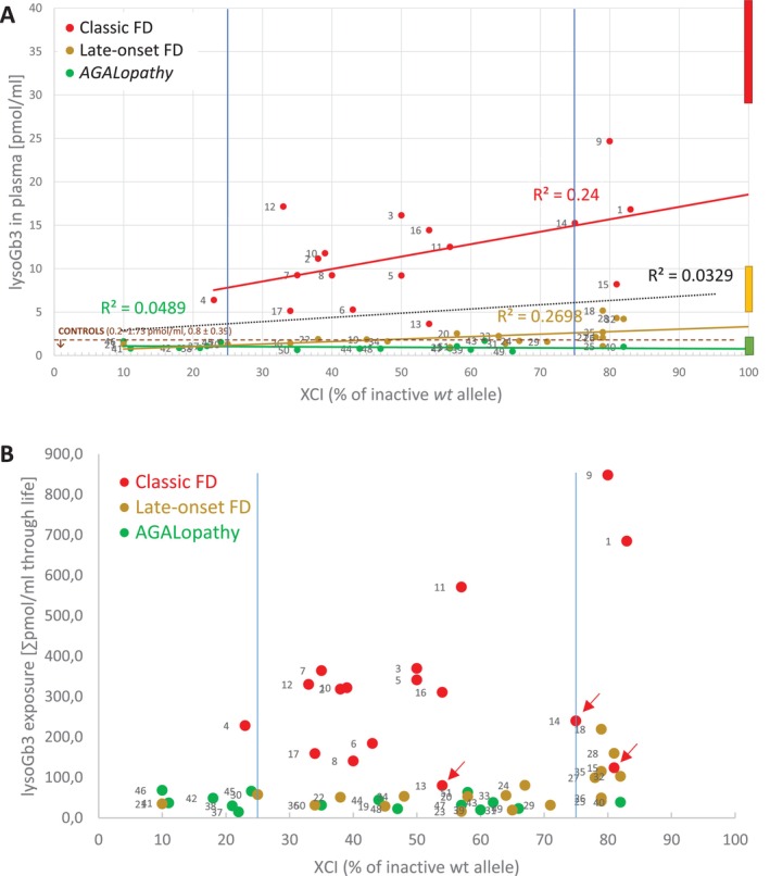 Correlation of lysoGb3 and lysoGb3 exposure with XCI. (A) Increase of lysoGb3 with inactivation of thewt GLAallele was evident in FD females with classic and late‐onset phenotypes. There is an overlap of lysoGb3 values in females with late‐onset FD and AGALopathic variants who had XCI values ≤ 25% of the inactivewtallele. Comparable correlation patterns (FigureS4) were detected when separately analyzing values in females with late‐onset p.(N215S) and c.801 + 48T>G and AGALopathic p.(L394P), p.(A143T), and p.(D313Y)GLAvariants. Reference ranges for plasma lysoGb3 in male FD patients are shown in red, orange, and green boxes on the right. Control levels (brown dashed line) of lysoGb3 correspond to our previously published data [17]. (B) Correlation of lysoGb3 exposure with XCI. Values reflect the lifetime exposure to lysoGb3 by combining parameters shown in Figure1. LysoGb3 exposure increases with the fraction of the inactivewt GLAallele in patients with the classic FD and to a lesser extent also in patients with late‐onset FD. Contribution of age to the calculated values can be demonstrated in patients #13 and #15 with the classic FD, who have not been exposed to the disease for so long. Patients #14 and #15 are another example of the impact of age (#14 is 5 years older than #15). Although they have the same genotype (p.(G80V)), their lysoGb3 values are substantially different. Patients #13, #14, and #15 are marked by arrows. Classic FDR2= 0.2021; Late‐onset FDR2= 0.2457, AGALopathyR2= 0.0708. LysoGb3 exposure remains constant irrespective of XCI among patients carrying AGALopathicGLAvariants. Vertical blue lines highlight 25% and 75% of the inactivewt GLAallele.