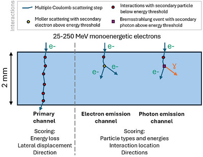 Schematic illustration of the local simulations of monoenergetic electron beams impinging on a 2 mm slab geometry. Multiple Coulomb scattering steps are shown as solid blue lines. Møller or Bremsstrahlung interactions producing secondary particles below the energy thresholds are included in the primary channel (left), whereas interactions producing higher energy electrons or photons are classified into the electron emission channel (middle) and photon emission channel (right), respectively. Simulations were performed using 25–250 MeV electrons in different materials, with channel‐specific physical quantities scored.