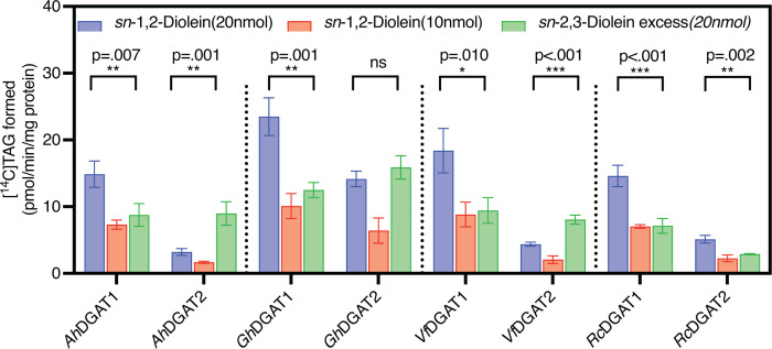 DGAT1 and DGAT2enzymes from non-BrassicaceaeA. hypogaea, G. hirsutum, V. fordii, R. communisshow differential specificities toward DAG enantiomers in TAG biosynthesisEnzyme assays were performed using [14C]18:1-CoA (1 nmol) as the acyl donor and eithersn-1,2-diolein at 20 nmol (blue) or 10 nmol (red), or 20 nmolsn-2,3-diolein excess (green; ∼89%sn-2,3-diolein, ∼8%sn-1,2-diolein and ∼2.8% ofsn-1,3-diolein) as acyl acceptors. Bars represent the mean ± SD of three technical replicates. Statistical significance was determined by one-way ANOVA followed by post-hoc tukey’s using GraphPad Prism. ns, not significant.