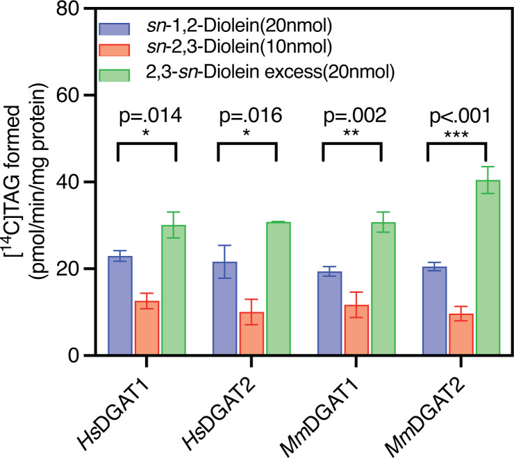 DGAT1 and DGAT2enzymes from mammals (humans and mouse) utilize both DAG enantiomersEnzyme assays were performed using [14C]18:1-CoA (1 nmol) as the acyl donor and eithersn-1,2-diolein at 20 nmol (blue) or 10 nmol (red), or 20 nmol sn-2,3-diolein excess (green; ∼89%sn-2,3-diolein, ∼8%sn-1,2-diolein and ∼2.8% ofsn-1,3-diolein) as acyl acceptors. Bars represent the mean ± SD of three technical replicates. Statistical significance was determined by one-way ANOVA followed by post-hoc tukey’s using GraphPad Prism. ns, not significant.
