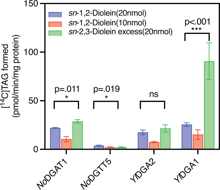 Distinct DAG enantiomer selectivity of DGAT1 and DGAT2 homolog proteins from Oleaginous Microbes,N. oceanicaandY. lipolytica (Yl)Enzyme assays were performed using [14C]18:1-CoA (1 nmol) as the acyl donor and eithersn-1,2-diolein at 20 nmol (blue) or 10 nmol (red), or 20 nmolsn-2,3-diolein excess (green; ∼89%sn-2,3-diolein, ∼8%sn-1,2-diolein and ∼2.8% ofsn-1,3-diolein) as acyl acceptors. Bars represent the mean ± SD of three technical replicates. Statistical significance was determined by one-way ANOVA followed by post-hoc tukey’s using GraphPad Prism. ns, not significant.