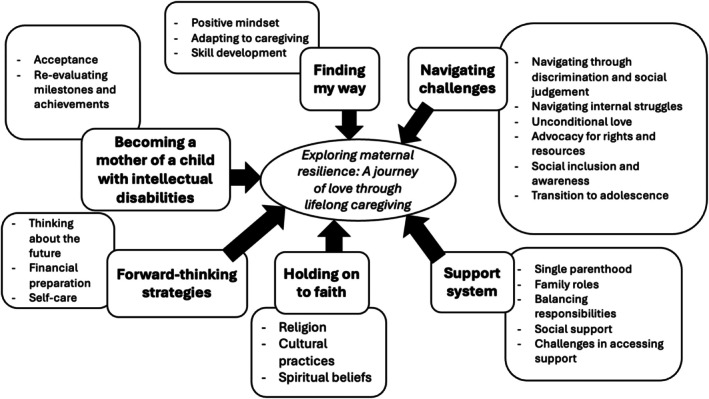 Themes and sub‐themes.