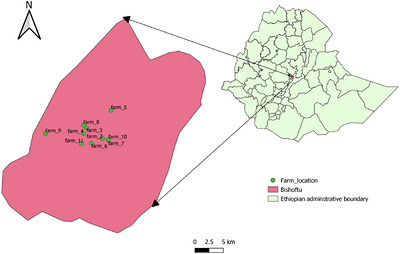 Map showing Bishoftu town and the specific locations of the dairy farms.