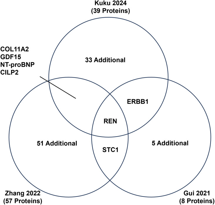 Common protein targets across risk scores.