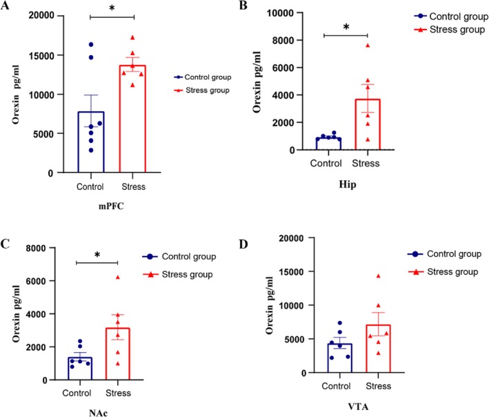 Acute foot shock promoted orexin expression in the mPFC, Hip and NAc. (A) The orexin level in the mPFC in the stress group (red,n= 8) was significantly greater than that in the control group (blue,n= 6) (independent samplest‐test, *p< 0.05, 13801.58 ± 887.93 vs. 7878.94 ± 2029.10, df = 12). (B) The orexin level in the Hip in the stress group (red,n= 8) was significantly greater than that in the control group (blue,n= 6) (independent samplest‐test, *p< 0.05, 3748.51 ± 1021.21 vs. 941.16 ± 72.87, df = 12). (C) The orexin level in the nucleus NAc in the stress group (red,n= 8) was significantly greater than that in the control group (blue,n= 6) (independent samplest‐test, *p< 0.05, 3186.35 ± 757.05 vs. 1402.87 ± 257.50, df = 12). (D) The orexin level in the VTA region in the stress group (red,n= 8) tended to be greater than that in the control group (blue,n= 6) (independent samplest‐test,p> 0.05, 7189.44 ± 1723.91 vs. 4392.49 ± 829.78, df = 12). The data are presented as the mean ± SEM, totaln= 14.