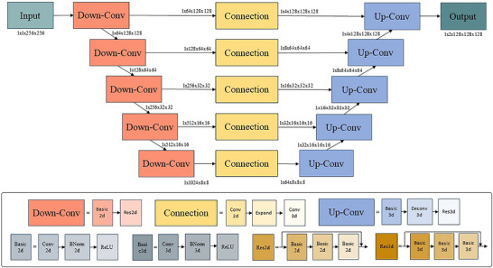 Architecture of the proposed EyeGen‐Net for 3D eyeball mask generation from a 2D topogram. Conv, Convolution. Deconv, Deconvolution.