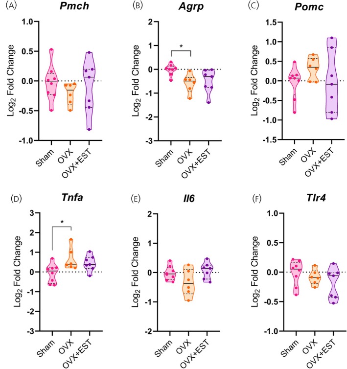 Ovarian hormone deficiency modulates hypothalamic neuropeptides and inflammatory markers. (A–C) Hypothalamic mRNA levels of neuropeptides. (D–F) Hypothalamic mRNA levels of inflammatory markers. Data are shown as violin plots with median and quartiles for five to seven mice per group. qPCR data (log2fold change) were analyzed using one‐way ANOVA, followed by Tukey's post hoc tests. *p< .05 compared with the Sham group. EST, estradiol; OVX, ovariectomized.