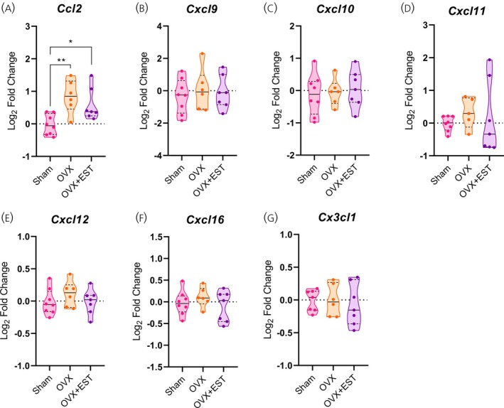 Ovariectomy results in increasedCxcr3expression in the hypothalamus. (A–G) Hypothalamic mRNA levels of chemokine receptors. Data are shown as violin plots with median and quartiles for five to seven mice per group. qPCR data (log2fold change) were analyzed using one‐way ANOVA, followed by Tukey's post hoc tests. *p< .05, **p< .01 compared with the Sham group. EST, estradiol; OVX, ovariectomized.