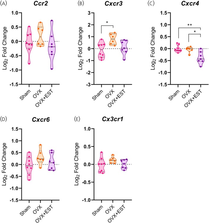 Cxcr3 expression in the hypothalamus is modulated by ovarian hormones. (A–E) Hypothalamic mRNA levels of chemokine receptors. Data are shown as violin plots with median and quartiles for five to seven mice per group. qPCR data (log2fold change) were analyzed using one‐way ANOVA, followed by Tukey's post hoc tests. *p< .05, **p< .01 compared with the indicated groups. EST, estradiol; OVX, ovariectomized.