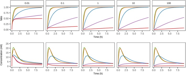 Model sensitivity to local tissue partition coefficient (Kp) and cellular permeability (Pc) for a generic small molecule. Simulated output as total fraction absorbed (fabs) and plasma concentration over time for a generic small molecule with variable cell permeability (0.01–100 × 10−4dm/min, represented across columns) and Kp (green = 0.01, orange = 0.1, blue = 1, purple = 10, red = 100). For further information see Sensitivity Analysis in Methods.