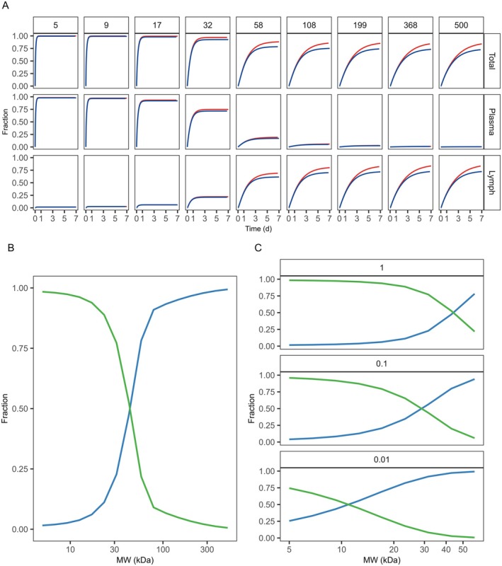 Model sensitivity to molecular weight for a generic large molecule. (A) Simulated fraction absorbed over time (Total), and separately for the vascular and lymphatic route, for large molecules of varying molecular weight (5–500 kDa, represented across columns) with a high (red, KdFcRn= 0.01 μM) and low (blue, KdFcRn= 10,000 μM) affinity to the neonatal Fc receptor. (B) The fraction of the simulated total absorption taking place either via plasma (green) or lymph (blue) as a function of molecular weight, where (C) illustrates the influence of plasma protein binding (fu = 1 (default), 0.1, and 0.01) on the route of absorption. For further information see Sensitivity Analysis in Methods.