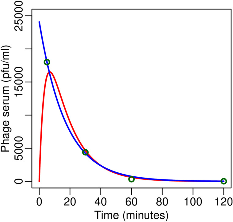 The phage titers measured by Schooleyet al.[4].The symbols depict the serum phage concentration data copied fromFig 4in Schooleyet al.[4], the red line the results of fitting of this data withEq. (38), and the blue line the result of fitting with an exponential decay model.